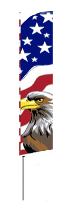 USA Eagle from