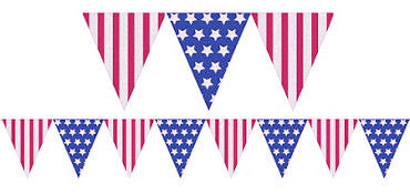 USA #2 Pennants